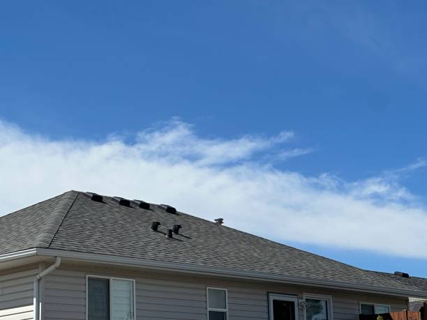 Fast & Reliable Emergency Roof Repairs in Ash Grove, MO